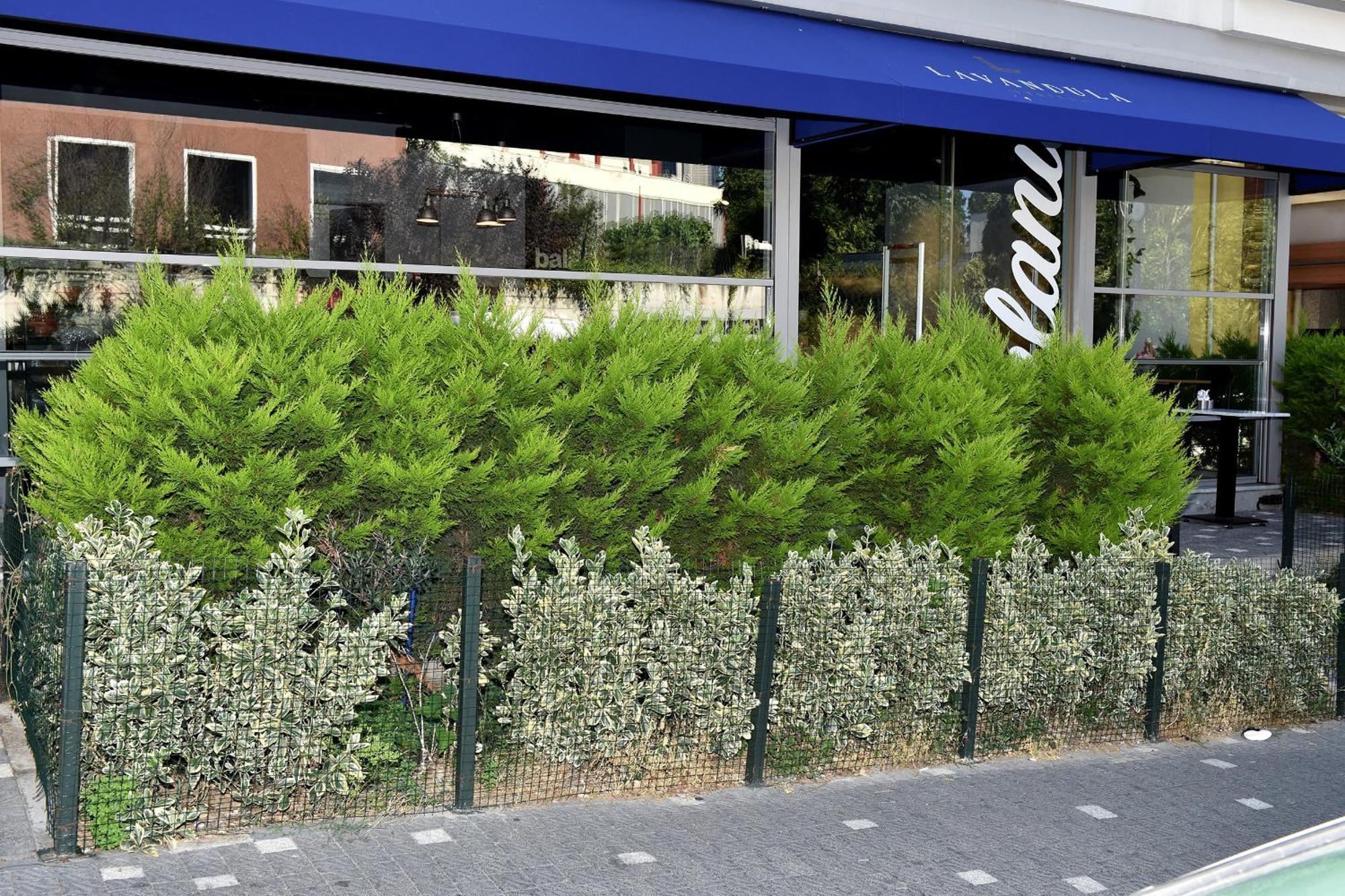 Levent Lavandula Hotel Istanbul Exterior photo